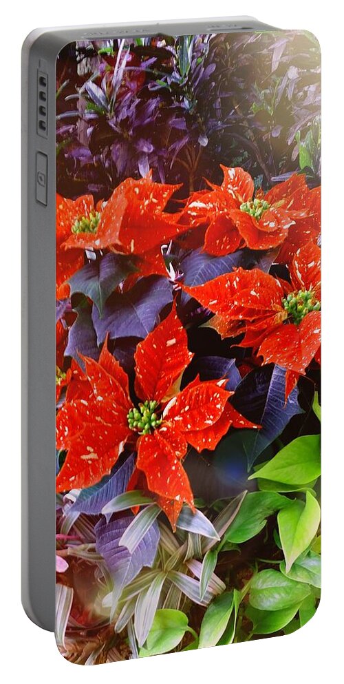 Poinsettias Portable Battery Charger featuring the photograph Pretty Poinsettias by Ally White