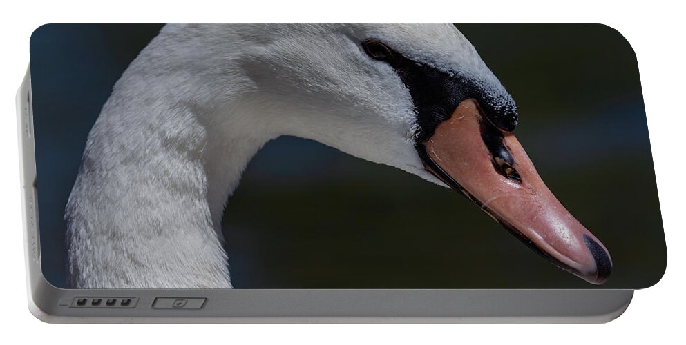Photography Portable Battery Charger featuring the photograph Pretty Swan by Alma Danison