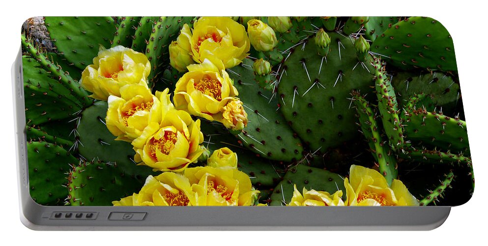 Prickly Pear Portable Battery Charger featuring the photograph Prickly Pear Against Stone by Mike McBrayer