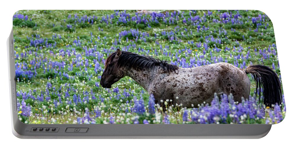 Pryor Mountain Portable Battery Charger featuring the photograph Prior Mountain Perfection by Douglas Wielfaert