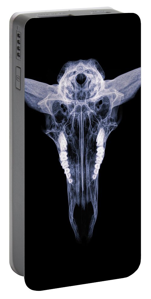 Kansas Portable Battery Charger featuring the photograph Pronghorn x-ray 04 by Rob Graham