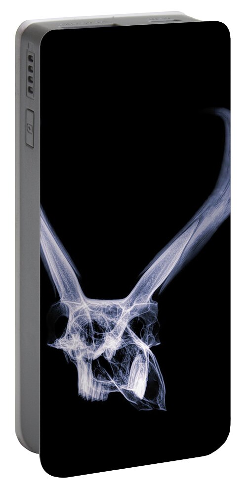 Kansas Portable Battery Charger featuring the photograph Pronghorn x-ray 05 by Rob Graham