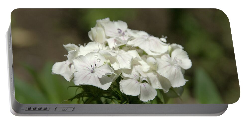Flower Portable Battery Charger featuring the photograph Pure Still Life by Jose Rojas
