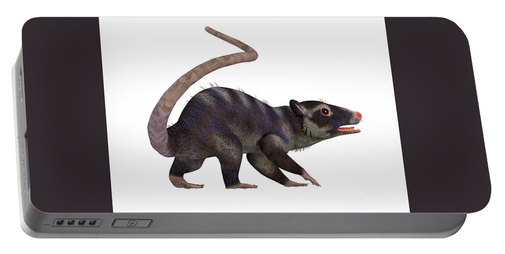 Purgatorius Portable Battery Charger featuring the digital art Purgatorius Primate Tail by Corey Ford