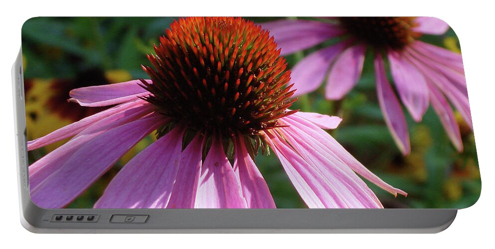 Echinacea Portable Battery Charger featuring the photograph Purple Coneflower 12 by Amy E Fraser