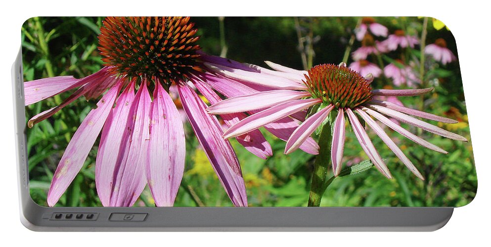 Echinacea Portable Battery Charger featuring the photograph Purple Coneflower 32 by Amy E Fraser