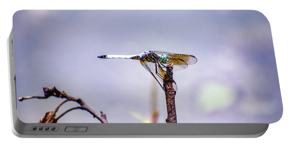 Dragon Fly Portable Battery Charger featuring the photograph Purple Dragon Fly by Michelle Wittensoldner