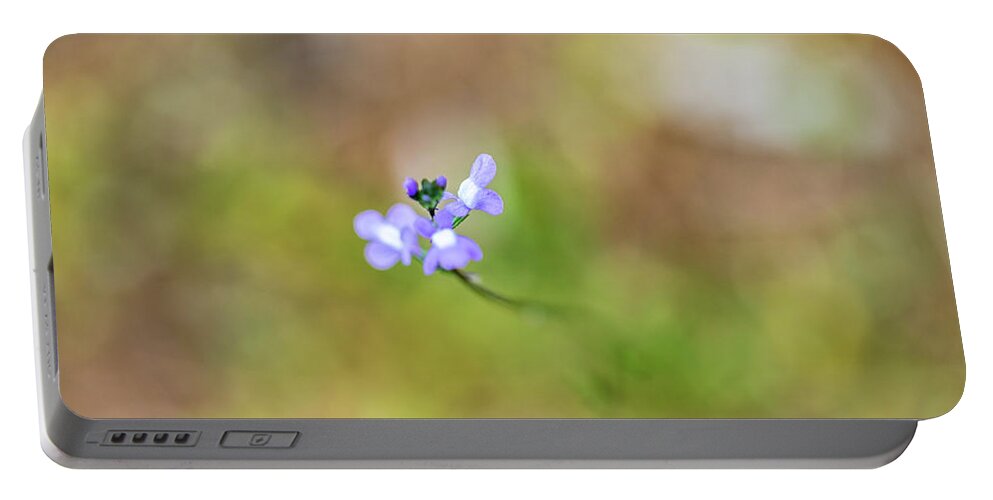 Flower Portable Battery Charger featuring the photograph Nature Photography - Flower by Amelia Pearn