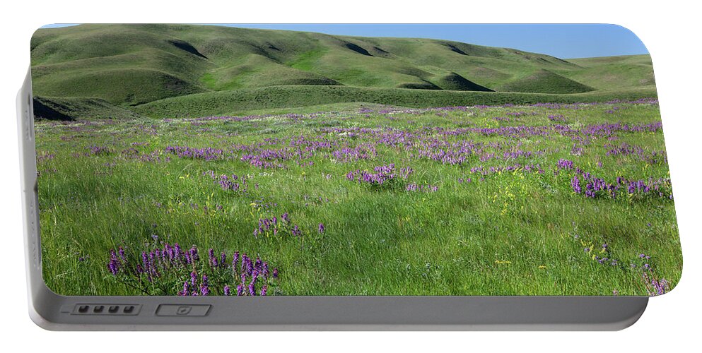 Purple Portable Battery Charger featuring the photograph Purple Flowers in Bloom by Todd Klassy