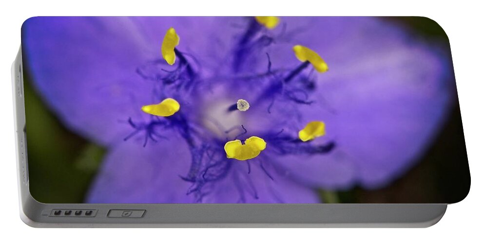 Nature Portable Battery Charger featuring the photograph Purple Majesty by John Benedict