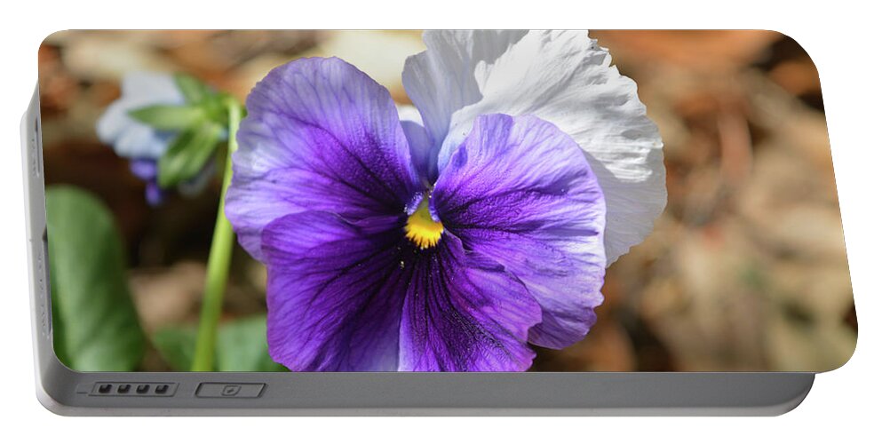 Pansy Portable Battery Charger featuring the photograph Purple Pansy by Aimee L Maher ALM GALLERY