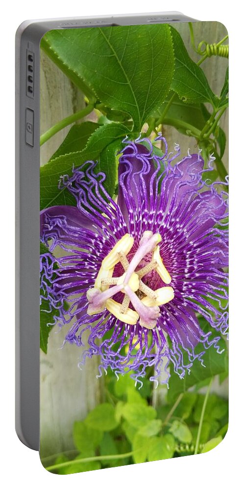 Flower Portable Battery Charger featuring the photograph Purple Passionflower by Portia Olaughlin