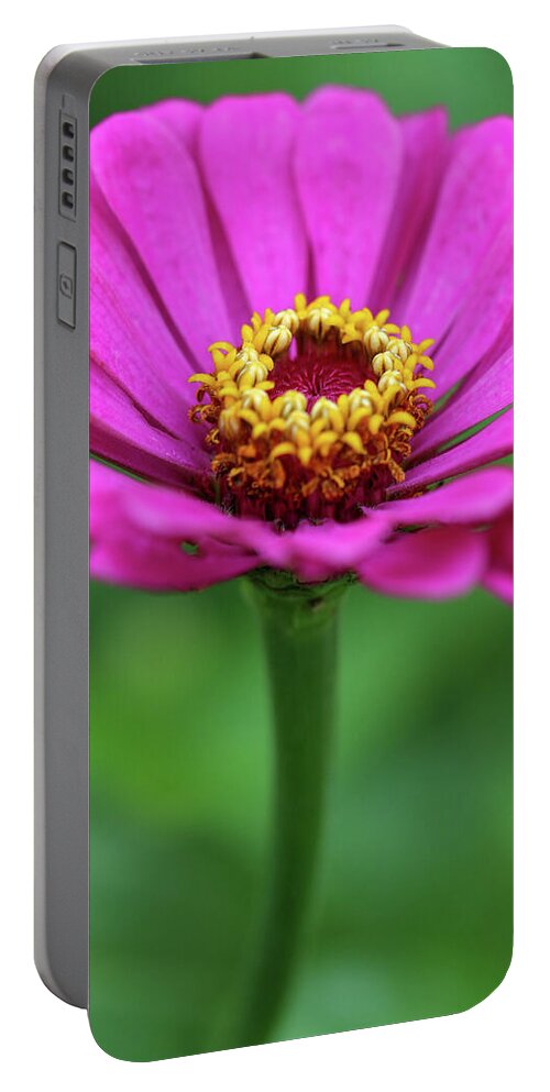 Flower Portable Battery Charger featuring the photograph Purple Zinnia by Mary Anne Delgado
