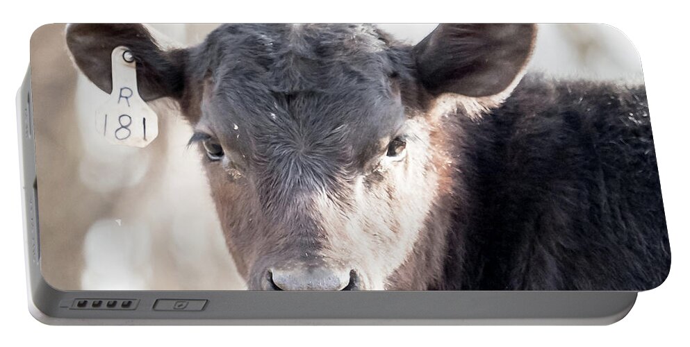 Cow Portable Battery Charger featuring the drawing R181 Cow by Scott and Dixie Wiley