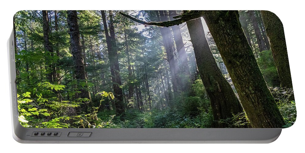 Background Portable Battery Charger featuring the photograph Rain Forest at La Push by Ed Clark