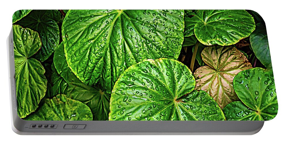Colors Portable Battery Charger featuring the photograph Raindrops on Green Leaves by Roslyn Wilkins