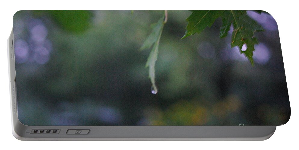 Nature Portable Battery Charger featuring the photograph Raining by Frank J Casella