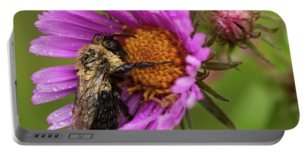 Insect Portable Battery Charger featuring the photograph Rainy Day Nap by Jody Partin