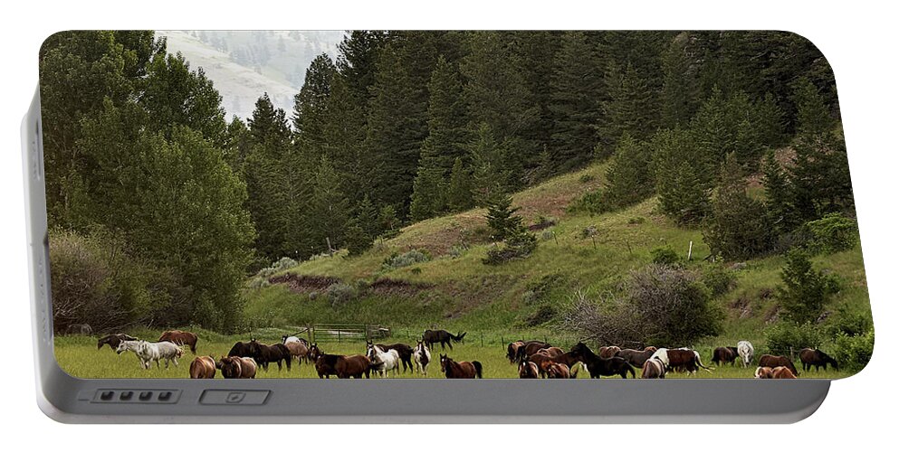Horses Portable Battery Charger featuring the photograph Ranch Horses at Pasture by Kae Cheatham