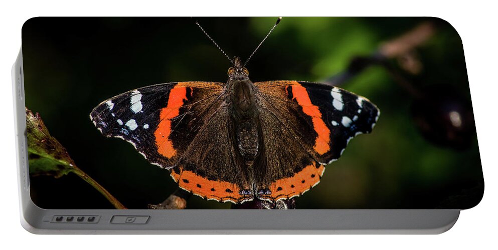 Red Admiral Butterfly Portable Battery Charger featuring the photograph Red Admiral Butterfly in the cherry tree by Torbjorn Swenelius