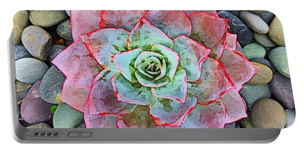 Brushstroke Portable Battery Charger featuring the photograph Red and Green Succulent on Stones by Jori Reijonen