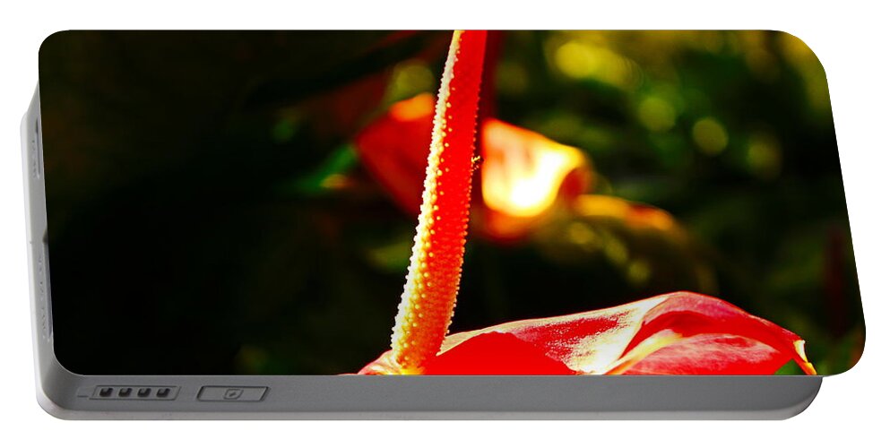 Laceleaf Portable Battery Charger featuring the photograph Red Anthurium Solo by Loretta S