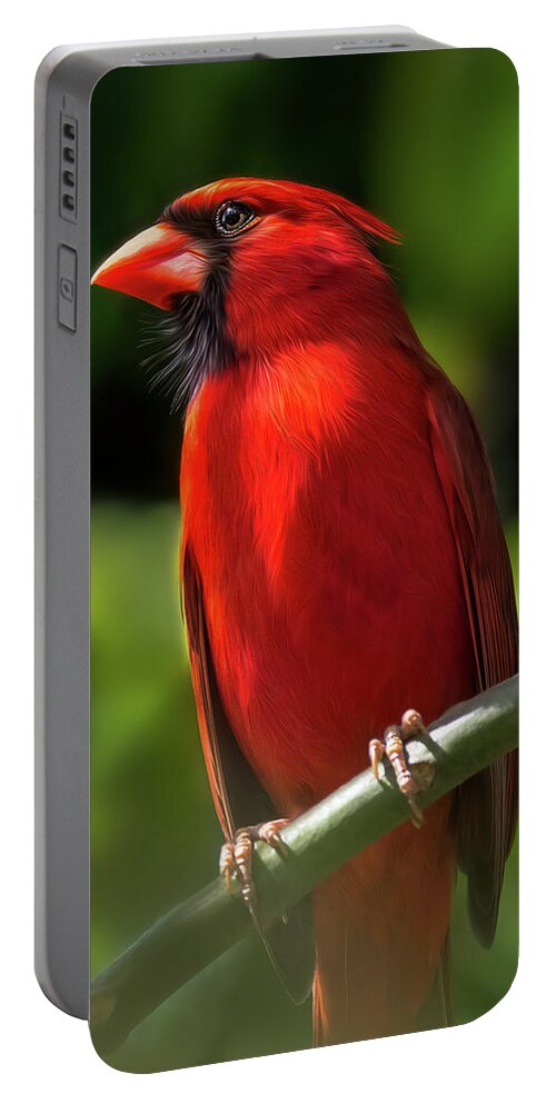 Cardinal Portable Battery Charger featuring the digital art Red Cardinal Bird by Kim Seng