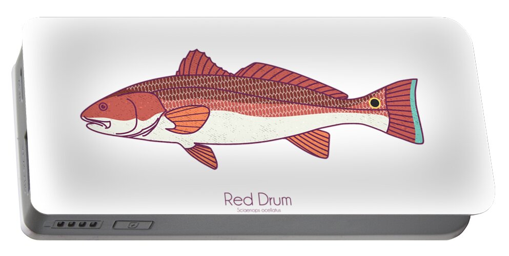 Red Drum Portable Battery Charger featuring the digital art Red Drum Redfish by Kevin Putman
