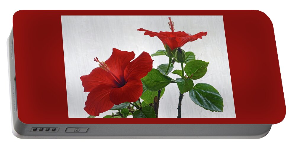 Hibiscus Portable Battery Charger featuring the photograph Red Hibiscus Duo by Terence Davis