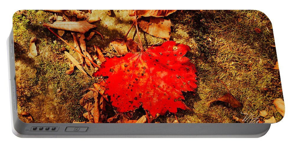 Fall Portable Battery Charger featuring the photograph Red Leaf on mossy rock by Meta Gatschenberger