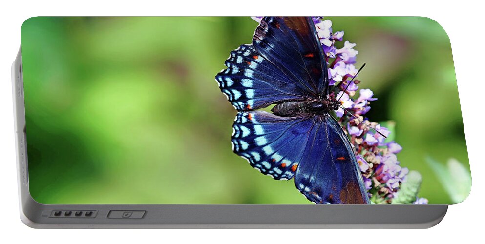 Butterfly Portable Battery Charger featuring the photograph Red Spotted Purple Beauty by Debbie Oppermann