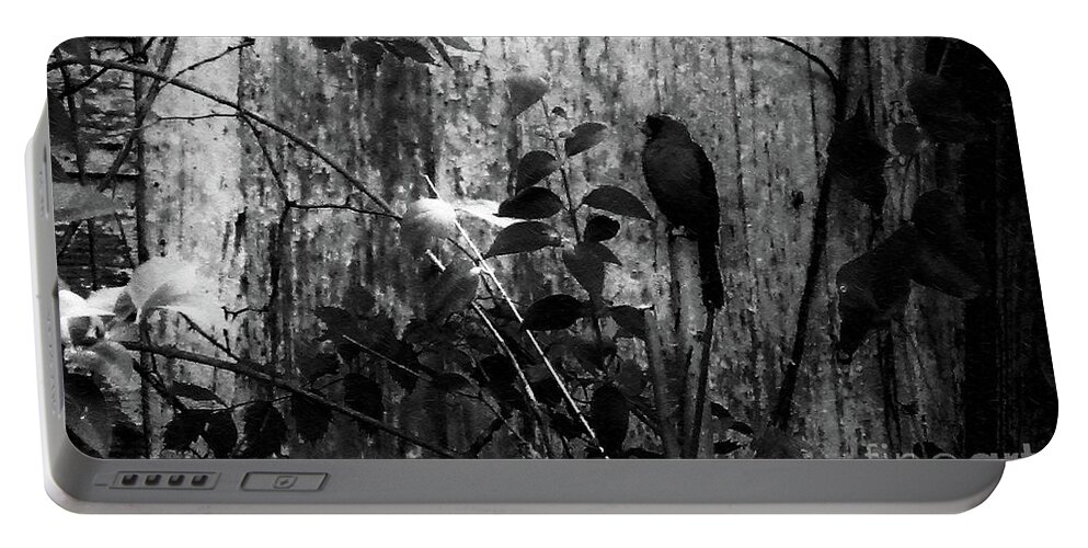 Red Birds Portable Battery Charger featuring the photograph Redbird Enjoying the Clarity of a Blue and Green Black and White Moment by Aberjhani