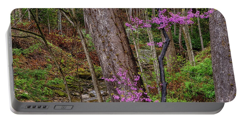 Framed Portable Battery Charger featuring the photograph Redbud Framed between Oaks by Thomas R Fletcher