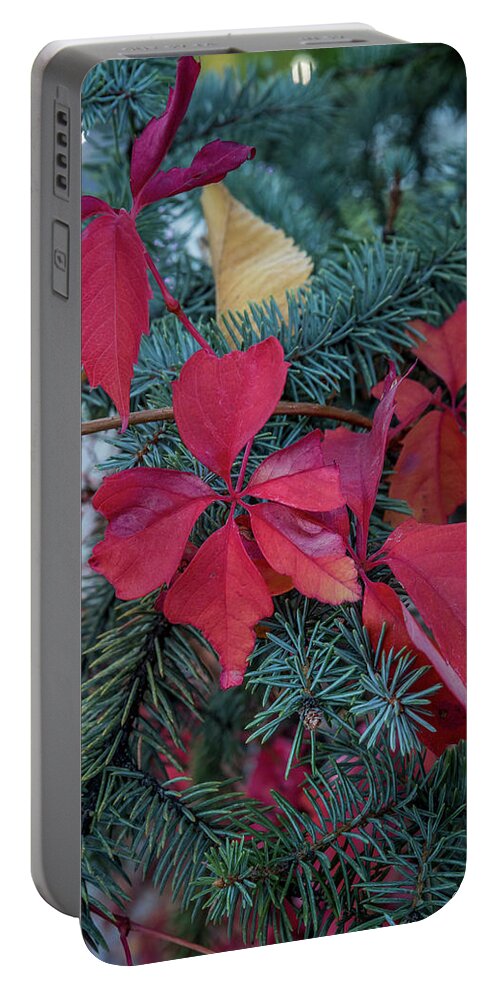 Fall Colors Portable Battery Charger featuring the photograph Reds, Yellows, and Blues by Aaron Burrows