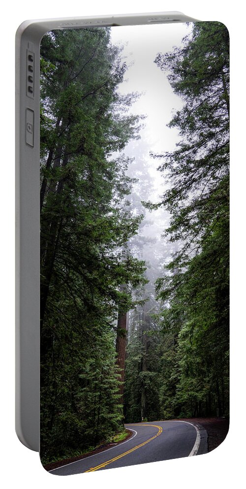 Sebastian Kennerknecht Portable Battery Charger featuring the photograph Redwoods Along Avenue Of The Giants by Sebastian Kennerknecht