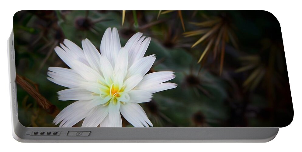 Flower Portable Battery Charger featuring the photograph Refuge by Hans Brakob