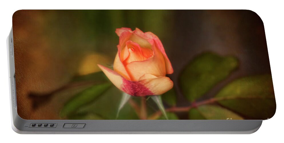 Rose Portable Battery Charger featuring the photograph Renissance Rose by Joan Bertucci