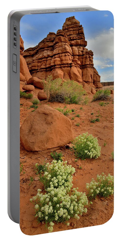 Ruby Mountain Portable Battery Charger featuring the photograph Rest Area near Hanksville Utah by Ray Mathis