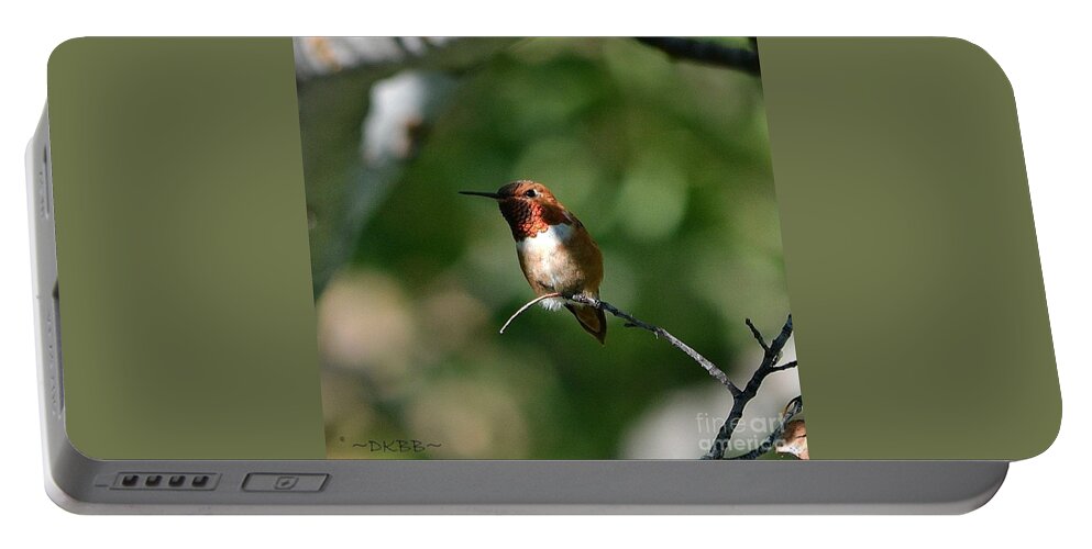 Hummingbird Portable Battery Charger featuring the photograph Resting Rufous by Dorrene BrownButterfield