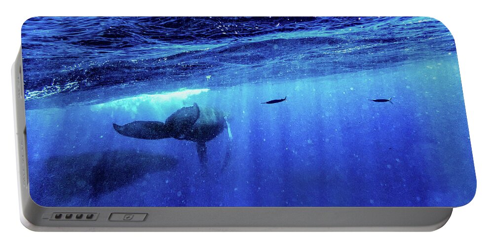 Humpback Whales Portable Battery Charger featuring the photograph Return by Louise Lindsay