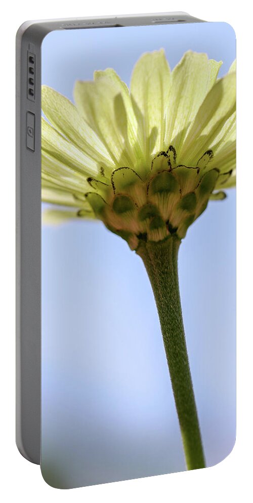 Flower Portable Battery Charger featuring the photograph Rise Up by Mary Anne Delgado