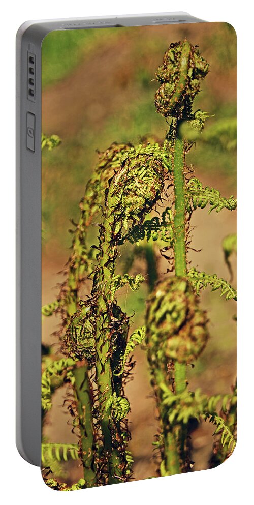 Rivington Portable Battery Charger featuring the photograph RIVINGTON Terraced Gardens. Fern Frond. by Lachlan Main