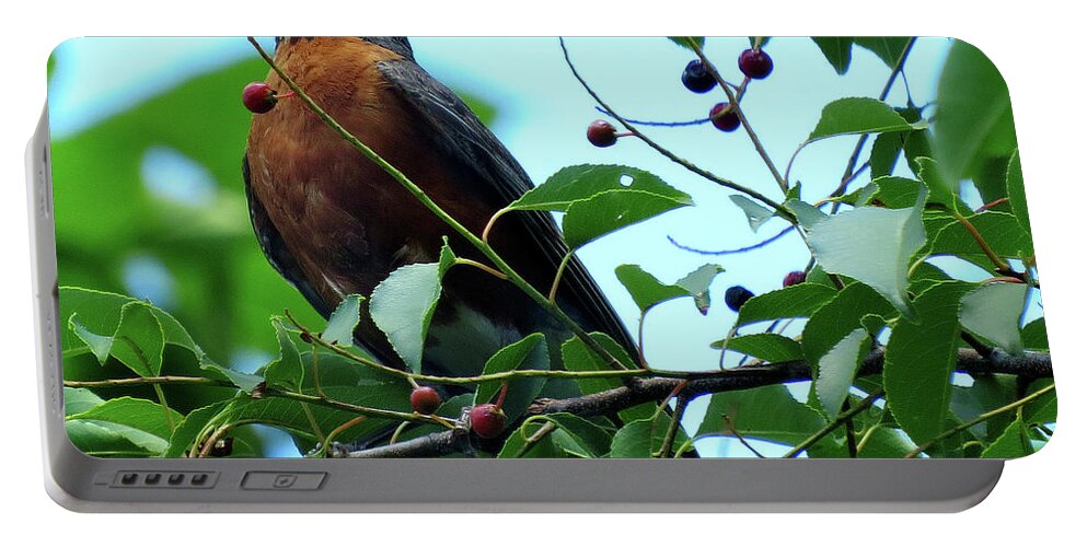 Robin Portable Battery Charger featuring the photograph Robin Singing While Perched in Tree by Linda Stern