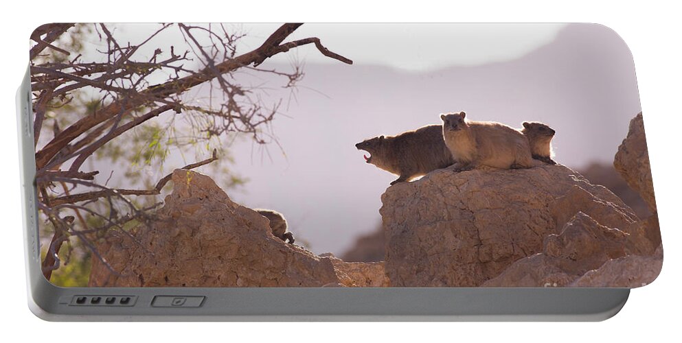 Rock Hyrax Portable Battery Charger featuring the photograph Rock Hyrax, Procavia capensis h2 by Alon Meir