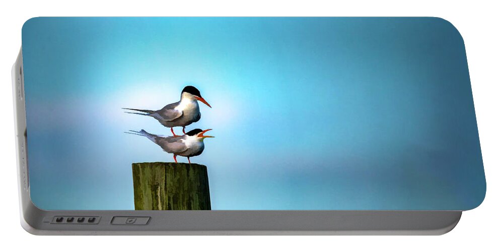 Terns Portable Battery Charger featuring the photograph Romance On The High Seas by Cathy Kovarik