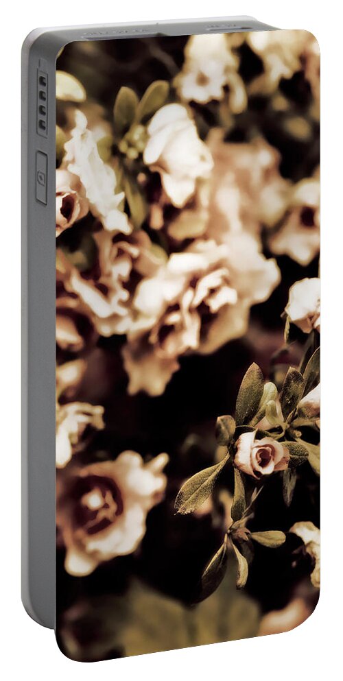 Photography Portable Battery Charger featuring the photograph Romantic Roses II by Tang Ling