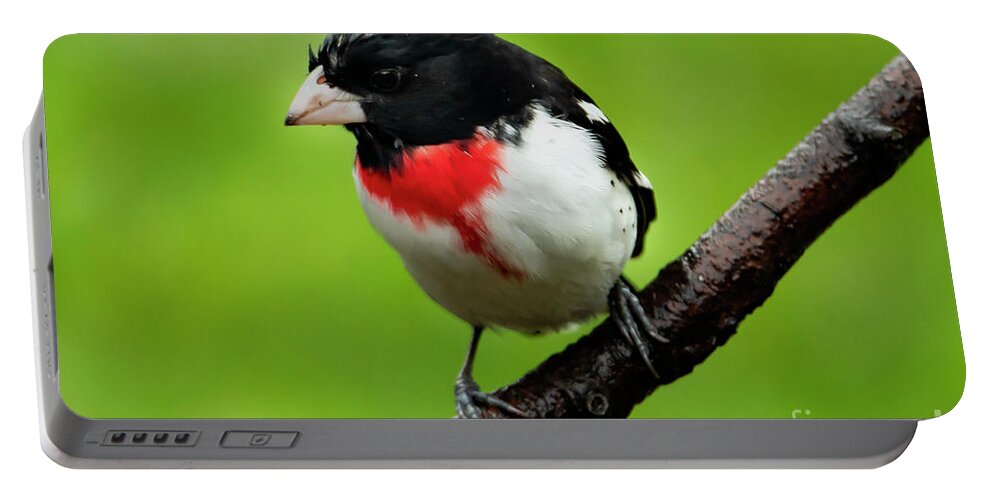 Rose Portable Battery Charger featuring the photograph Rose Breasted Grosbeak by Sandra J's