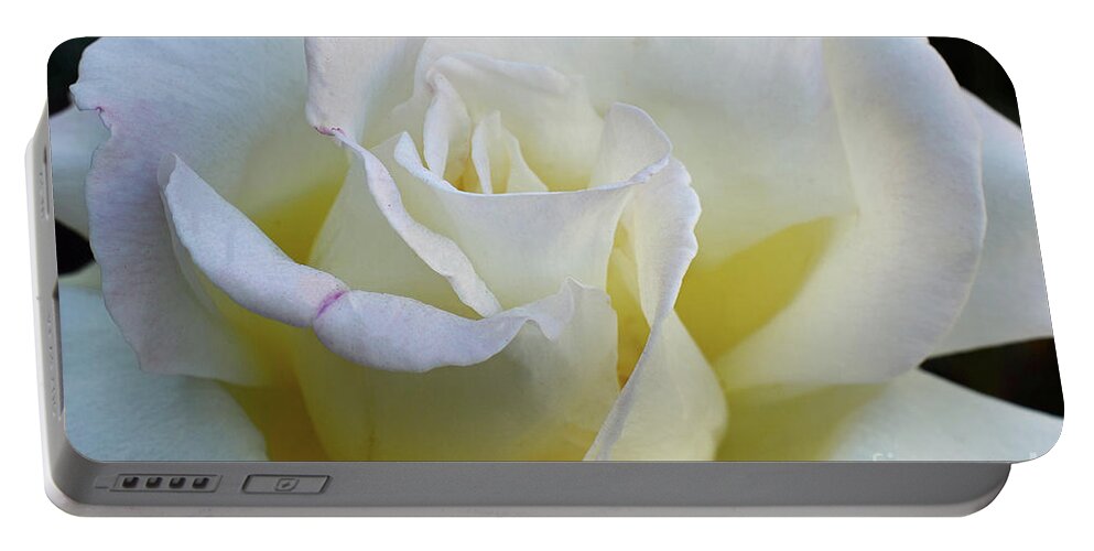 Rose Portable Battery Charger featuring the photograph Rose by Debby Pueschel