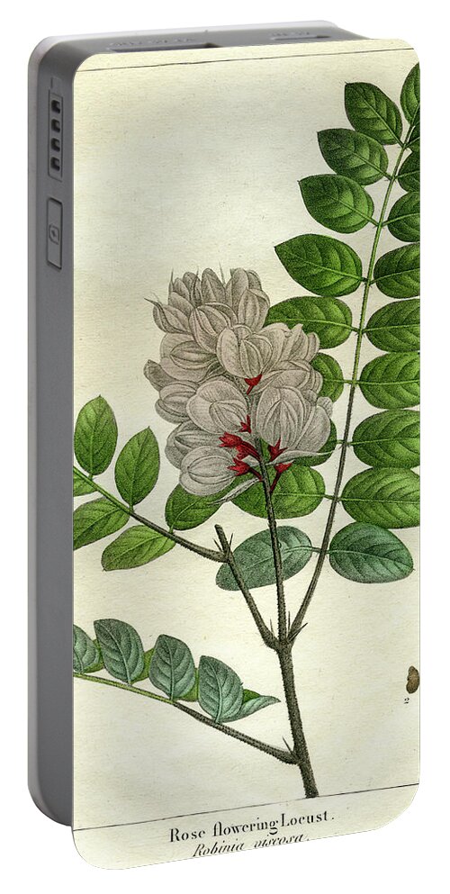 Rose Flowering Locust Portable Battery Charger featuring the mixed media Rose Flowering Locust by Unknown