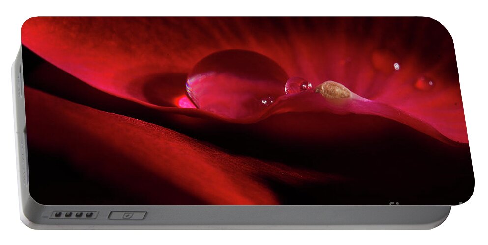 Rose Portable Battery Charger featuring the photograph Rose Petal Droplet by Mike Eingle